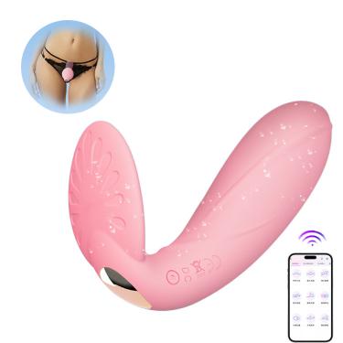  High Quality Portable Multi-Frequency Mode Butterfly Vibrator Remote Control Rechargeable 10 Speed Wearable G-Spot Vibrator