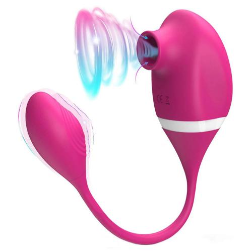 2 in 1 Female Nipple Sucker Pump G-Spot Clitoral Stimulation Vibrating Jumping Love Egg Massager Sucking Vibrator for Women
