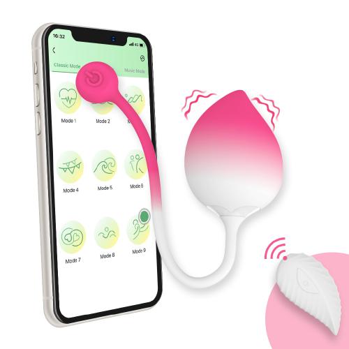 Dual Layer Liquid Silicone 8-Frequency Vibration App Wireless Control Women Vaginal Stimulate Wearable Sex Vibrator